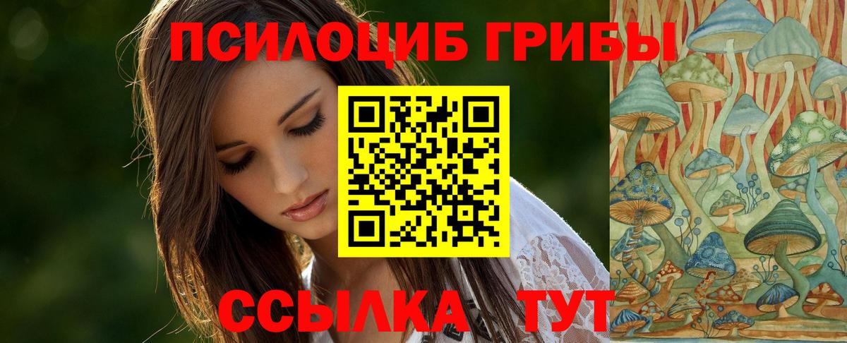 Псилоцибиновые грибы Psilocybe Губаха